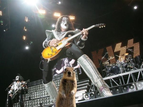 Pictures sent by users (53 pics)