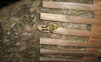 Curiosities and bonus pictures Curiosities and bonus pictures