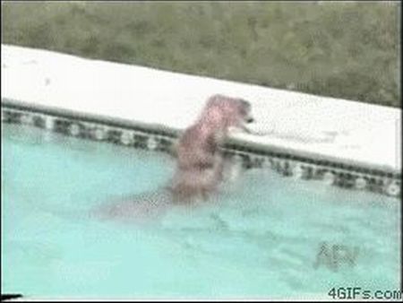 Curiosities and bonus pictures