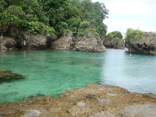 Pictures sent by users (52 pics)