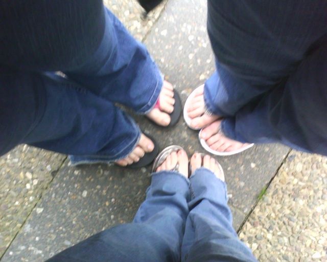 Pictures sent by users (52 pics)