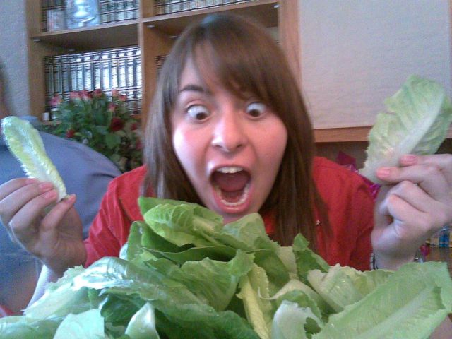 Pictures sent by users (52 pics)