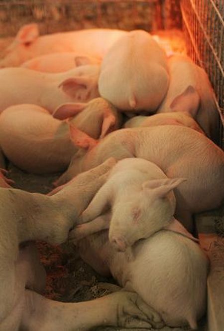 Daily picdump (118 pics)