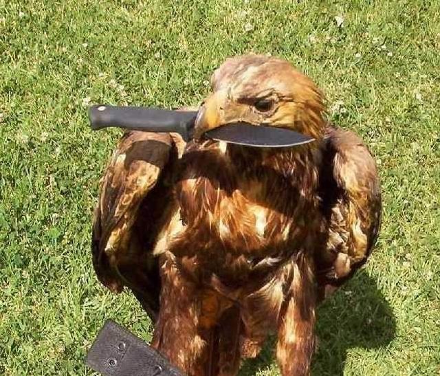 Daily picdump (118 pics)