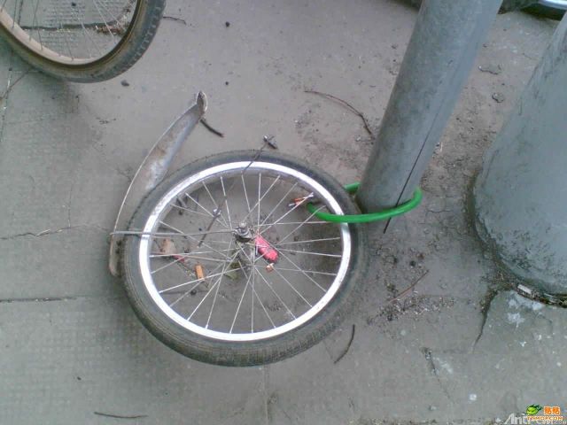 Daily picdump (118 pics)