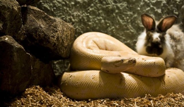 Daily picdump (118 pics)