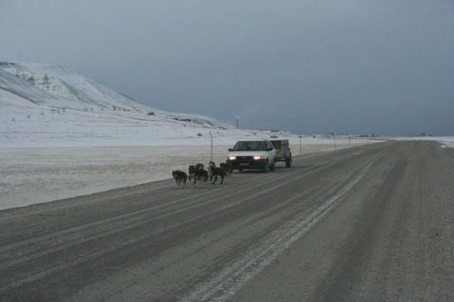 Daily picdump (118 pics)