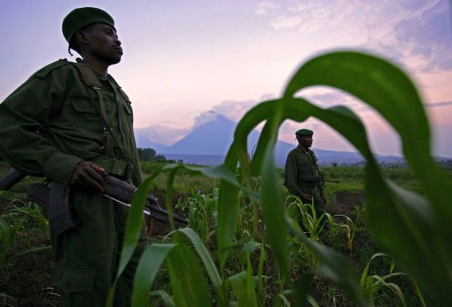 Life, death and money of mafia in the Congo (58 pics)