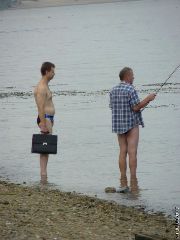 Freaks are around us. Part 2 (62 pics)