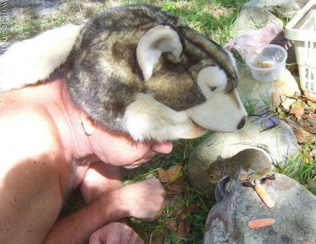 Freaks are around us. Part 2 (62 pics)