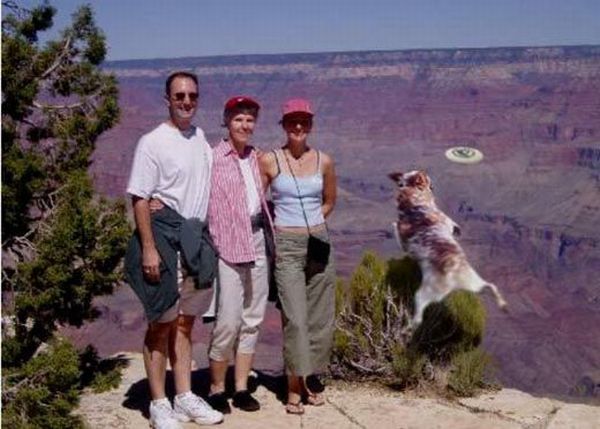 Shit happens. Part 3 (65 pics)