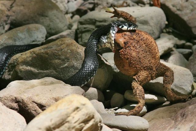 Shit happens. Part 3 (65 pics)