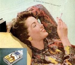 Curiosities and bonus pictures