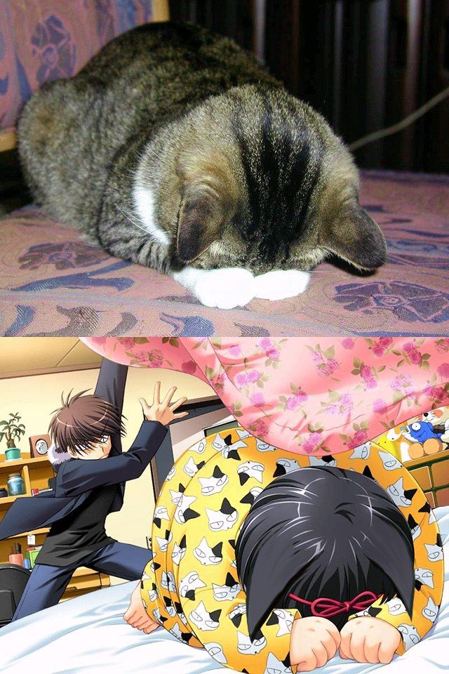 WTF Pictures Compilation. Part 2 (76 pics)