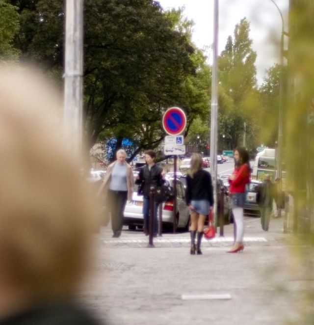 Blondes Will Be blondes! )) (59 pics)