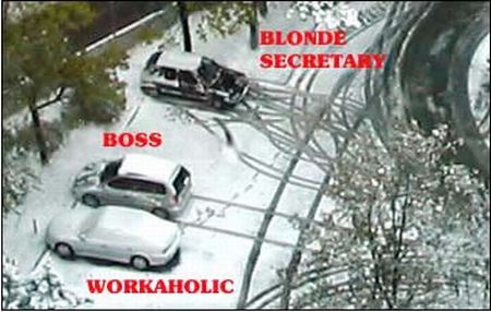 Blondes Will Be blondes! )) (59 pics)