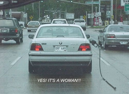 Blondes Will Be blondes! )) (59 pics)