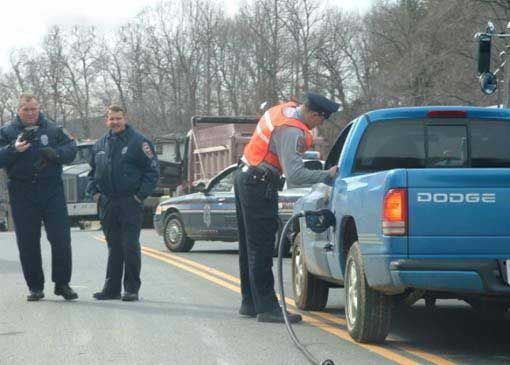 Blondes Will Be blondes! )) (59 pics)