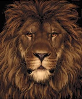 Curiosities and bonus pictures