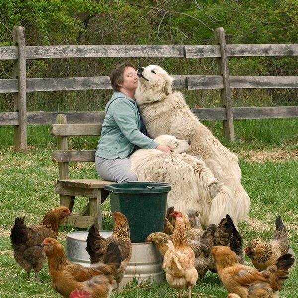 Daily picdump (154 pics)