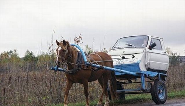 Daily picdump (154 pics)