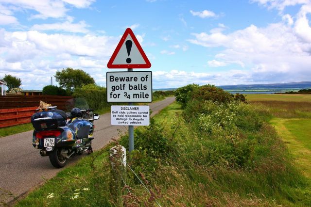 Daily picdump (154 pics)