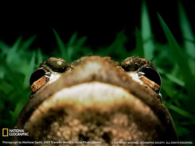 Daily picdump (154 pics)