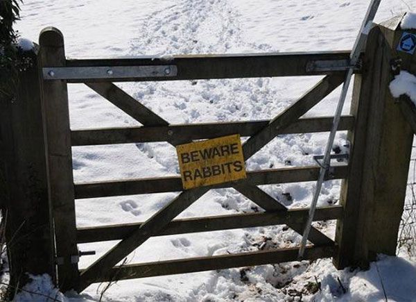 Daily picdump (154 pics)