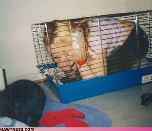 The Women of WTF. Part 2 (80 pics)