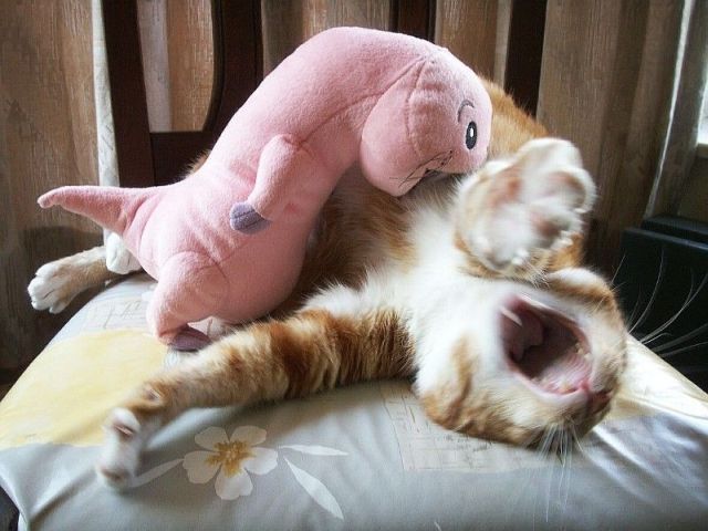 Daily picdump (127 pics)