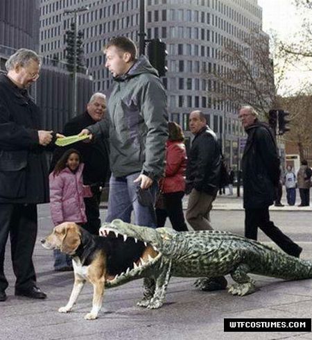 WTF Costumes (45 pics)