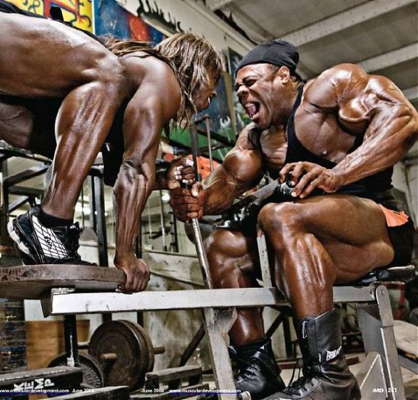 Bodybuilders (90 pics) Bodybuilders (90 pics)
