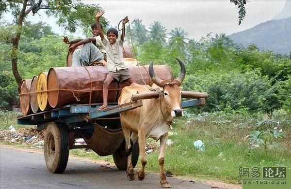 Daily picdump (115 pics)