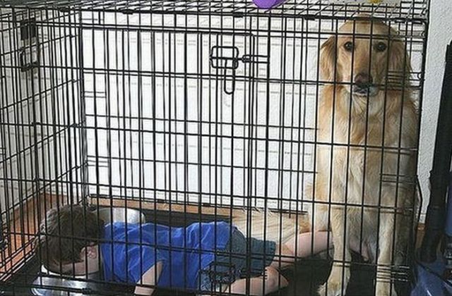 Daily picdump (115 pics)