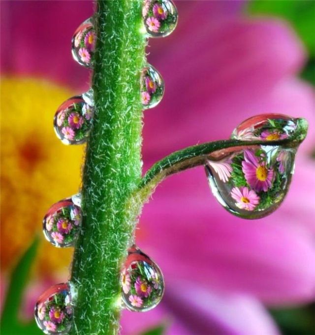 Daily picdump (115 pics)