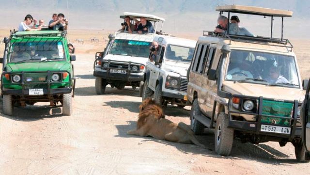 Daily picdump (115 pics)