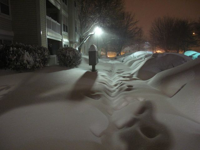 Daily picdump (115 pics)