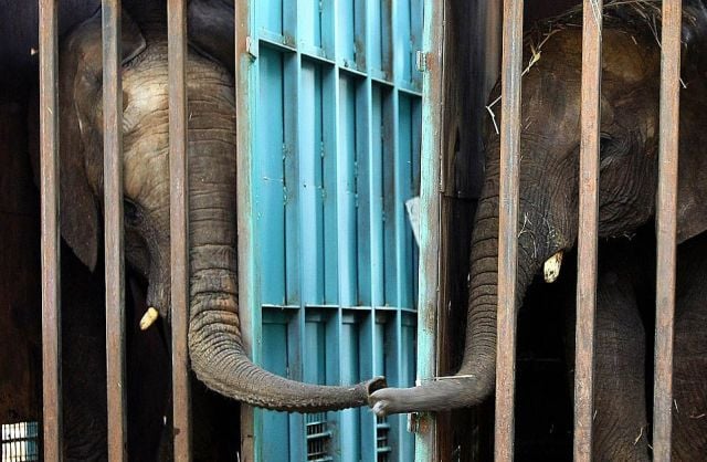 Daily picdump (197 pics)