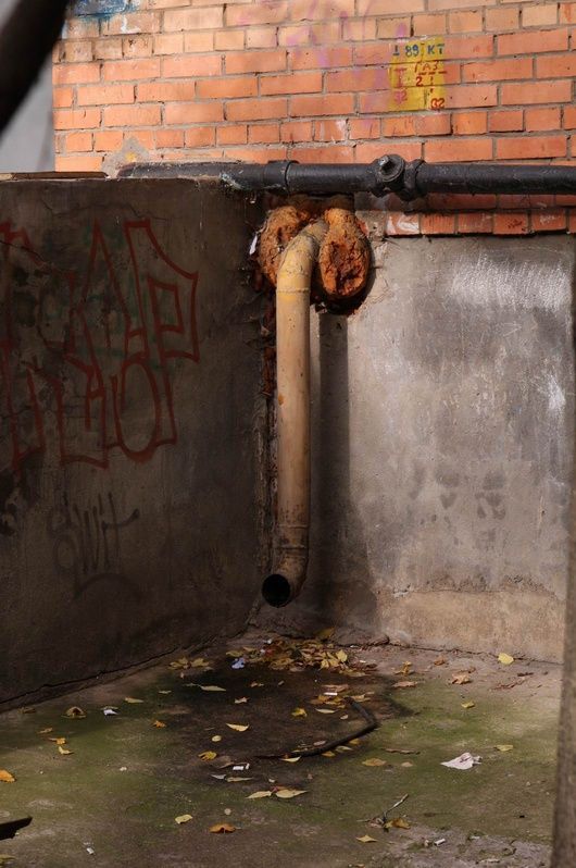 Daily picdump (197 pics)