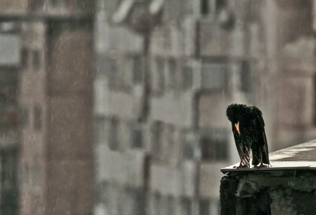 Daily picdump (120 pics)