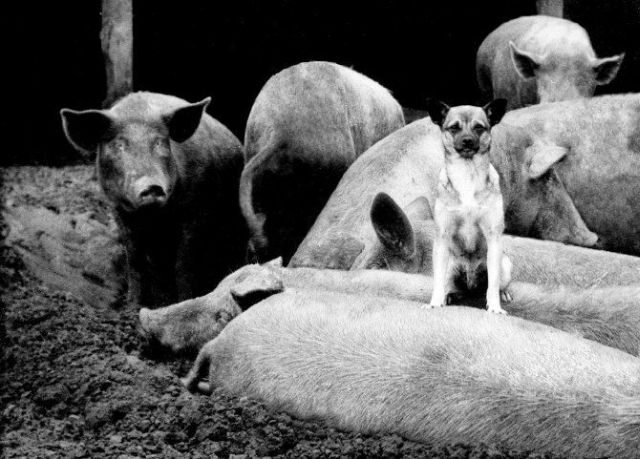 Daily picdump (120 pics)