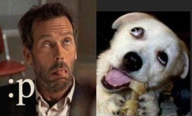 Daily picdump (159 pics)