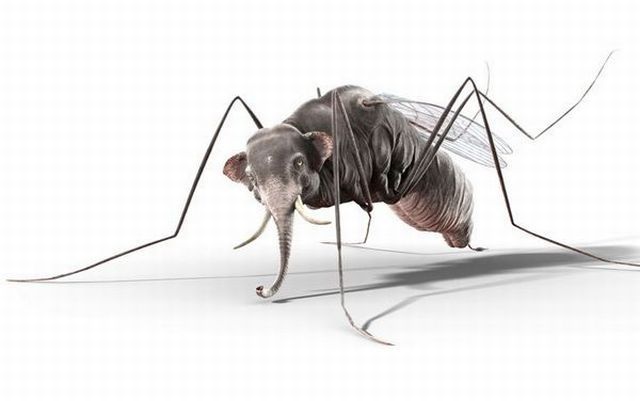 Daily picdump (146 pics)