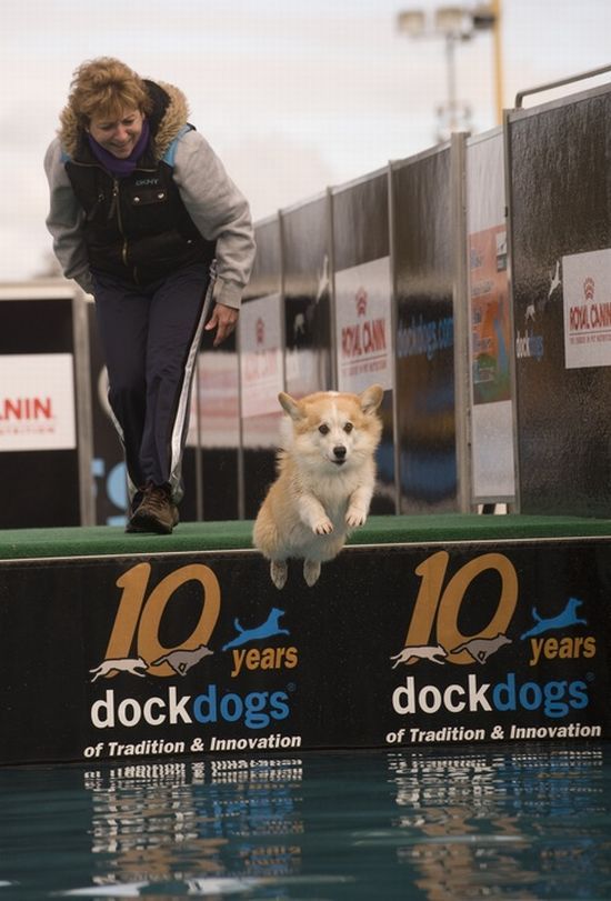 Daily picdump (146 pics)