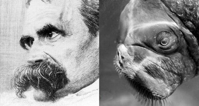 Daily picdump (146 pics)