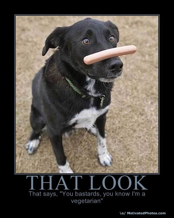 Funny Collection of Demotivational Posters. Part 3 (52 pics)