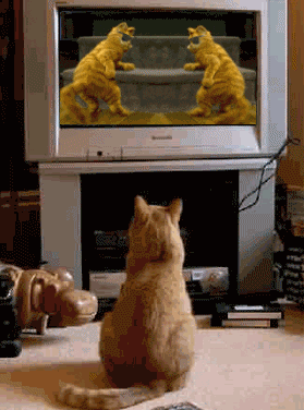 Curiosities and bonus pictures