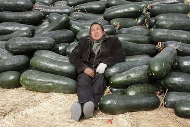 People Sleeping Everywhere (40 pics)