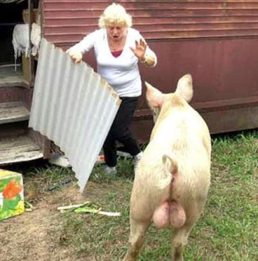 Daily picdump (127 pics)