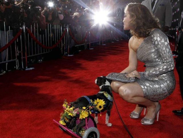 Daily picdump (127 pics)